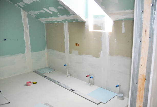 White Rock, NM Mold Removal Company