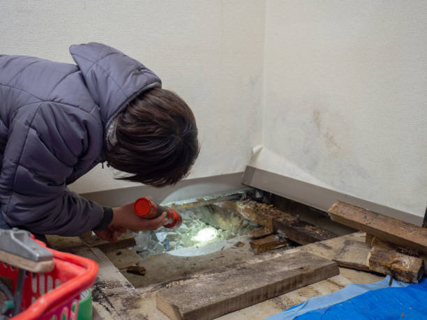 Mold Remediation for Rental Properties in White Rock, NM