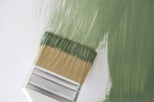 Best Attic Mold Removal  in White Rock, NM