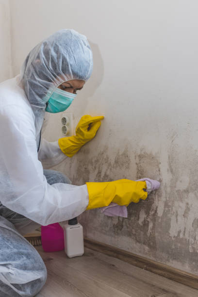 Best Air Quality Testing for Mold Spores  in White Rock, NM