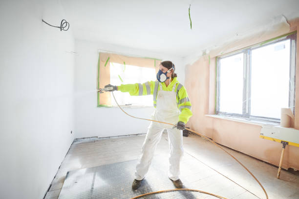 Best Mold Damage Restoration  in White Rock, NM