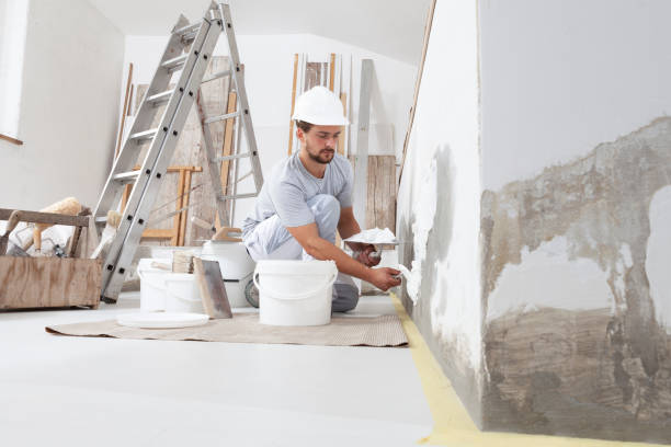 Best Mold Removal for HVAC Installations  in White Rock, NM