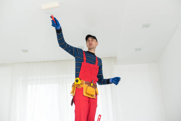 Mold Odor Removal Services in White Rock, NM