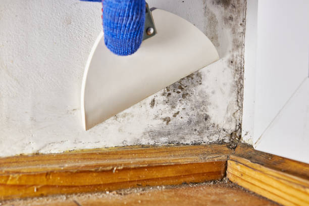Best Indoor Air Quality Assessment  in White Rock, NM