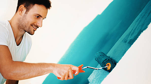Best Black Mold Removal  in White Rock, NM