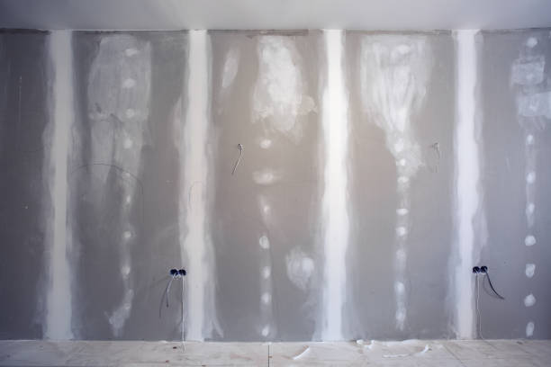 Best Emergency Mold Remediation  in White Rock, NM